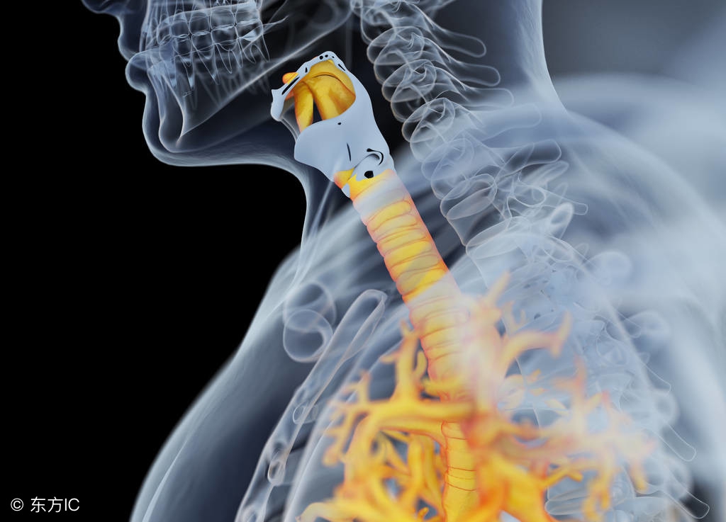 支气管炎最怕的三种食疗,支气管炎食疗最佳方法