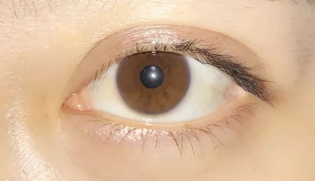 睫毛膏10大品牌推荐,平价卷翘睫毛膏测评