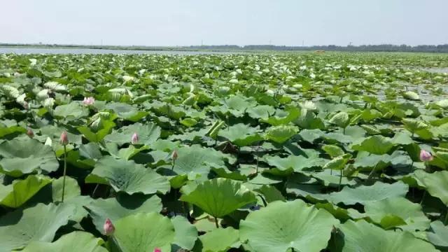 重庆可遮雨户外烧烤的地方,重庆高温消暑的地方