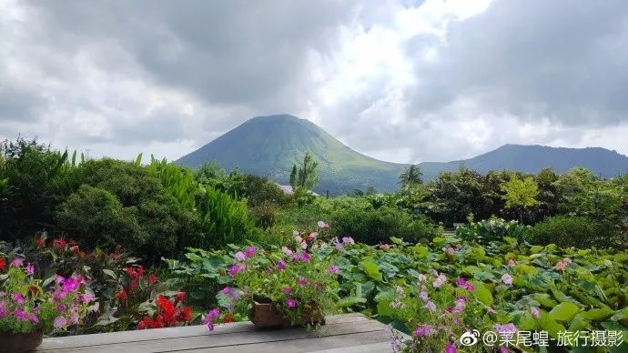 印尼美娜多潜水,印尼美娜多潜水考证