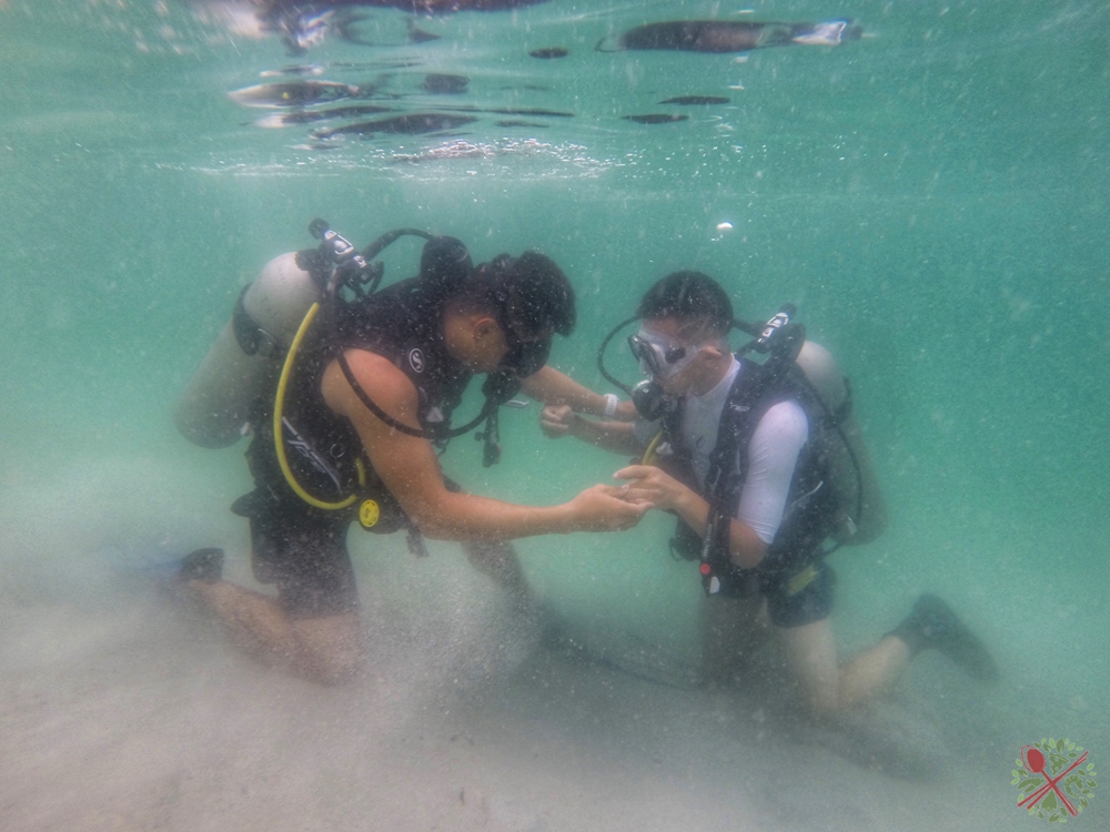 不会游泳可以去海底潜水吗,不会游泳可以体验美人鱼吗