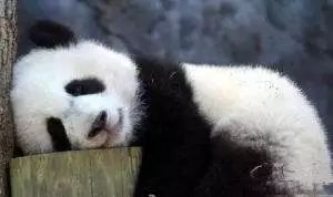 健康作息为啥感觉身体不好,健康睡眠是骗人的吗