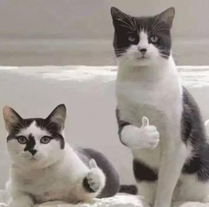 1000元以内出租房改造，就算房子不是自己的，也要活出自己的生活