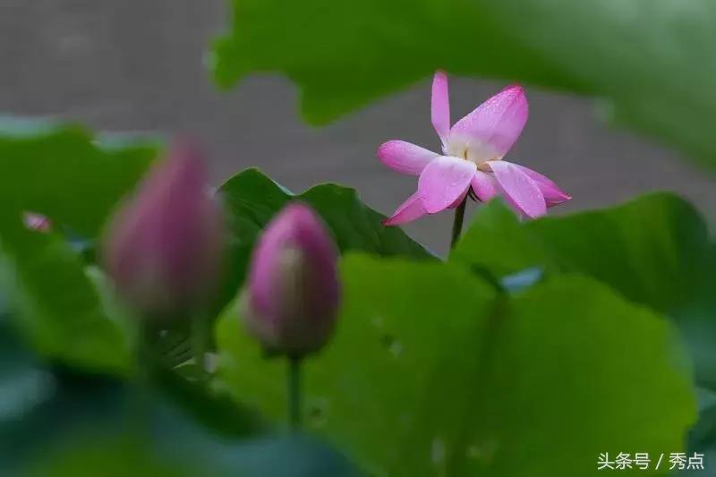 铜川清凉玩水的地方,铜川夏日美景
