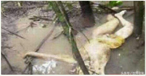 杀害40多人藏尸地窖案,夫妻被杀山洞藏尸案件