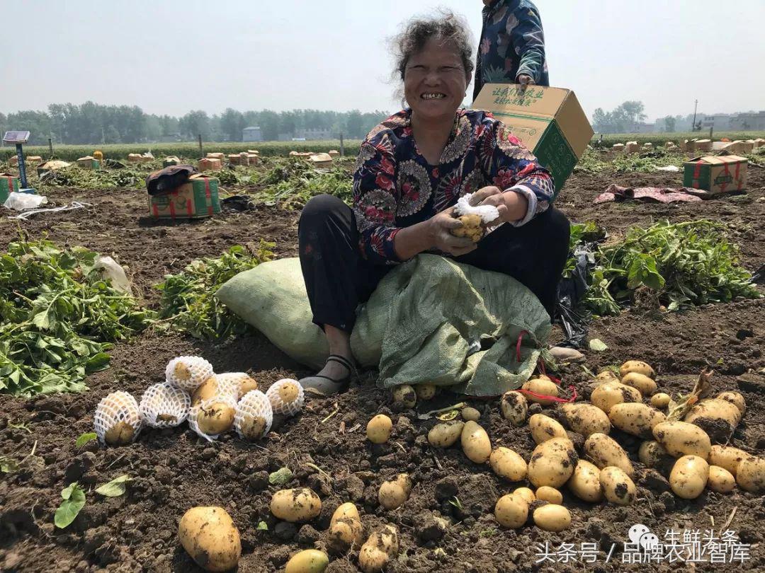 宋小菜创业,宋小菜招商