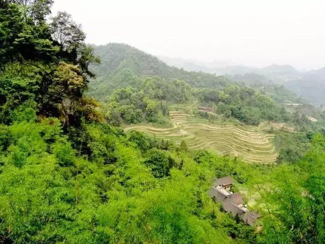 藏不住了重庆这个小城太美了,藏不住了四川话