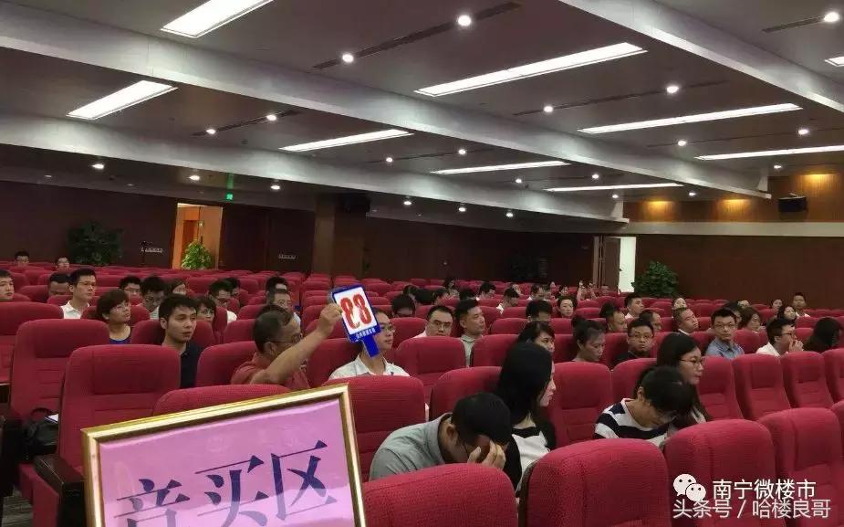 南宁最新土拍消息,南宁土拍五象新区