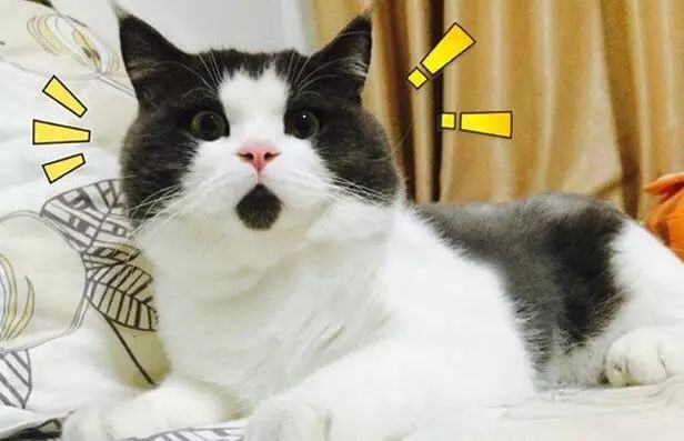 山寨微信发语音是骗人的吗,山寨微信语音骗局