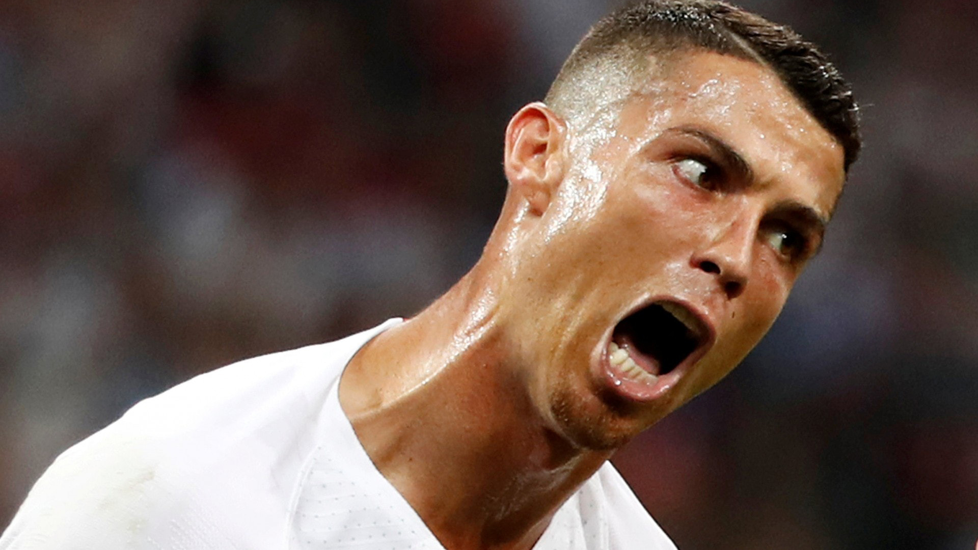 晓说2018c罗,晓说高晓松第一季