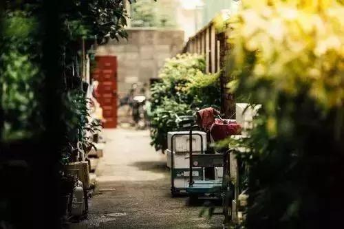 愿陪君醉笑三千场不诉离殇意思,醉笑陪君三千场不诉离殇写给谁的