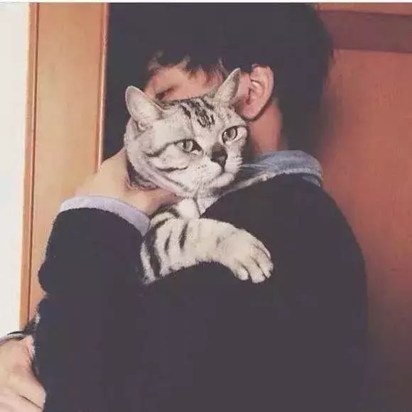 男不养猫？你这么会讲话，一定没有姑娘要你这条单身狗吧