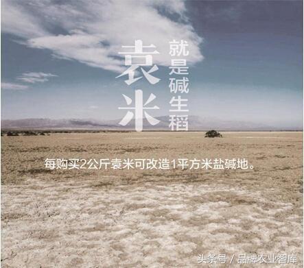 袁隆平捐200吨大米相当于多少钱,袁隆平的大米的推广