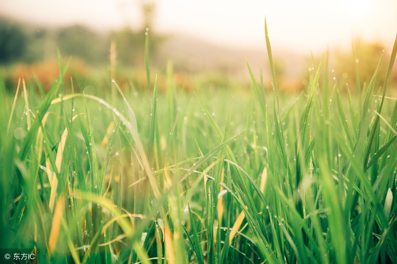 闅捐繃绗戣繃鍝繃寰楄繃涓旇繃,鐖辫繃鐤繃鐥涜繃鍝繃鐑﹁繃鎬掕繃閱夎繃
