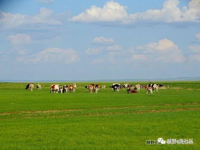 无法忘记的第一次草原之旅,一生必去一次的草原