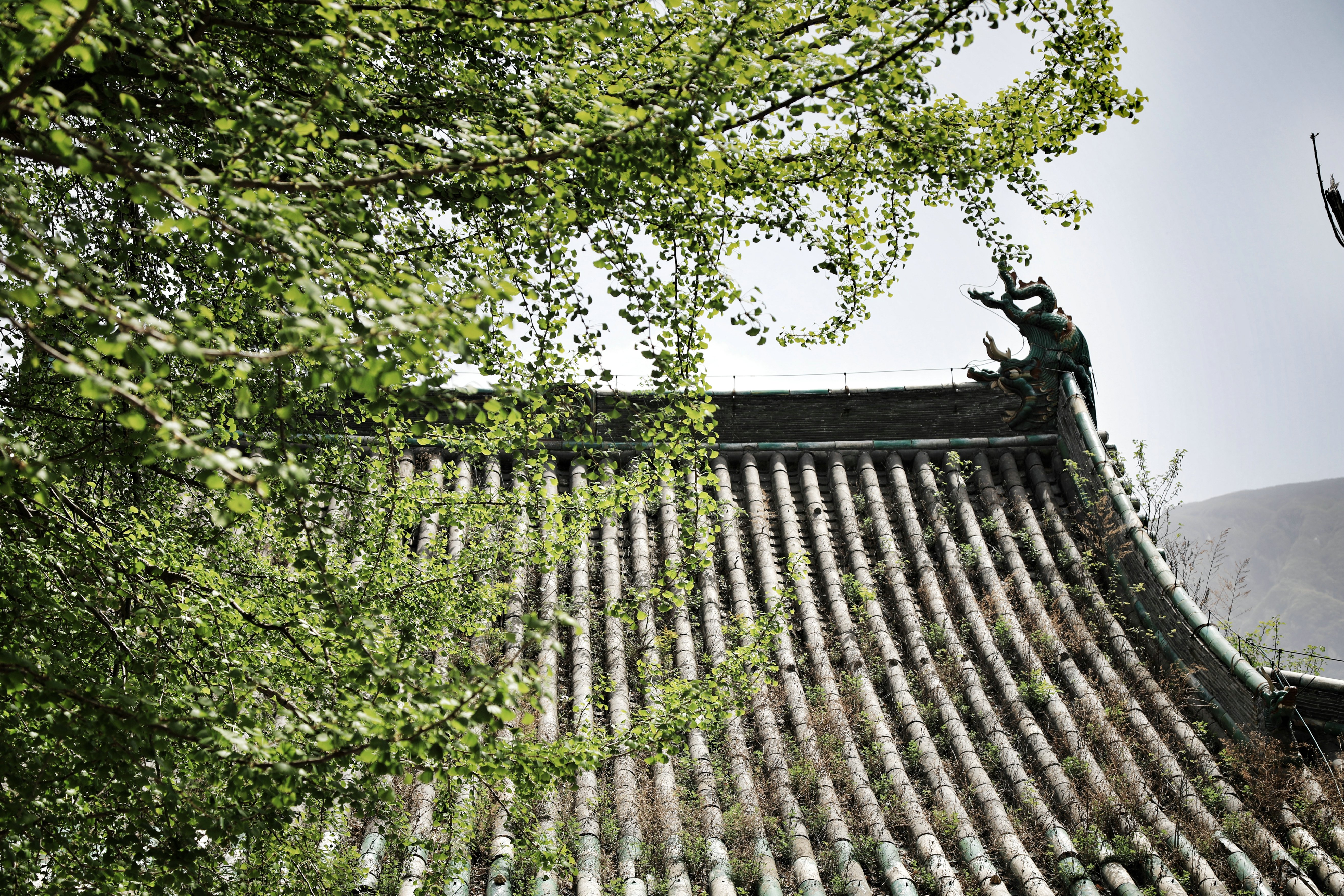 哪些地方有塔林,什么是塔林