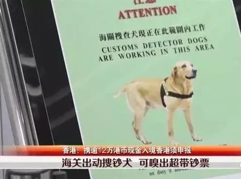 香港代购海关要求,香港代购需要过海关吗