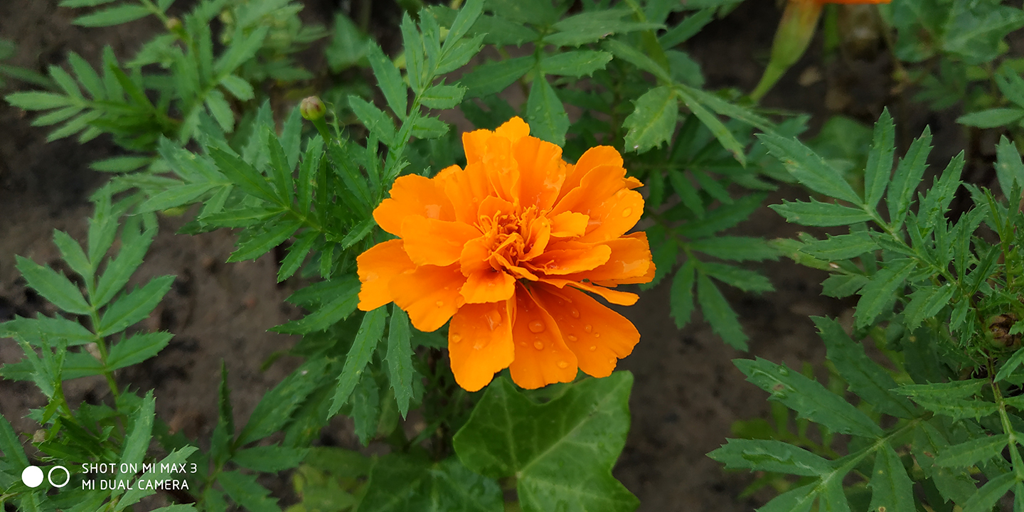 小米max3评测找靓机,小米max3评测怎么开120帧