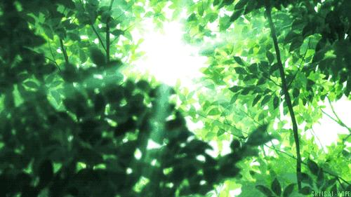 陈忠实好文分享,陈忠实推荐语