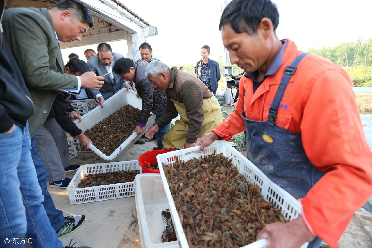 小龙虾餐饮加盟店进货渠道有哪些