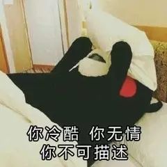 十二星座女生多久会放弃一个人,十二星座谁最难放弃水瓶座