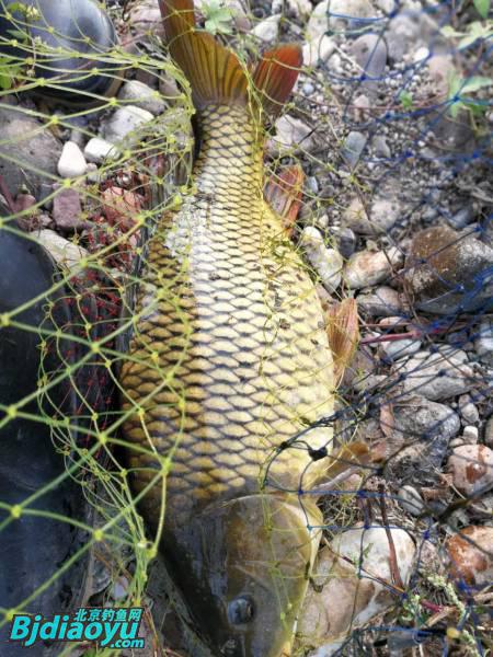 钓鱼也要讲究生活必须惬意,钓鱼需要保持哪些心态