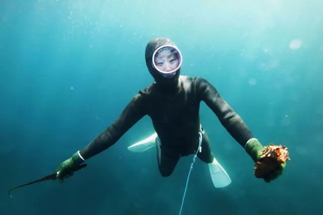 济州柑橘马拉松,济州岛柑橘马拉松