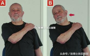 老年人功能性训练方法,专家讲解老年人如何正确锻炼身体