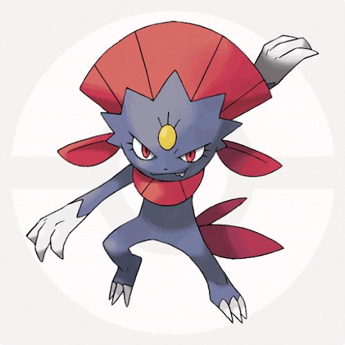 都有哪些宠物小精灵,十大最火的宠物小精灵