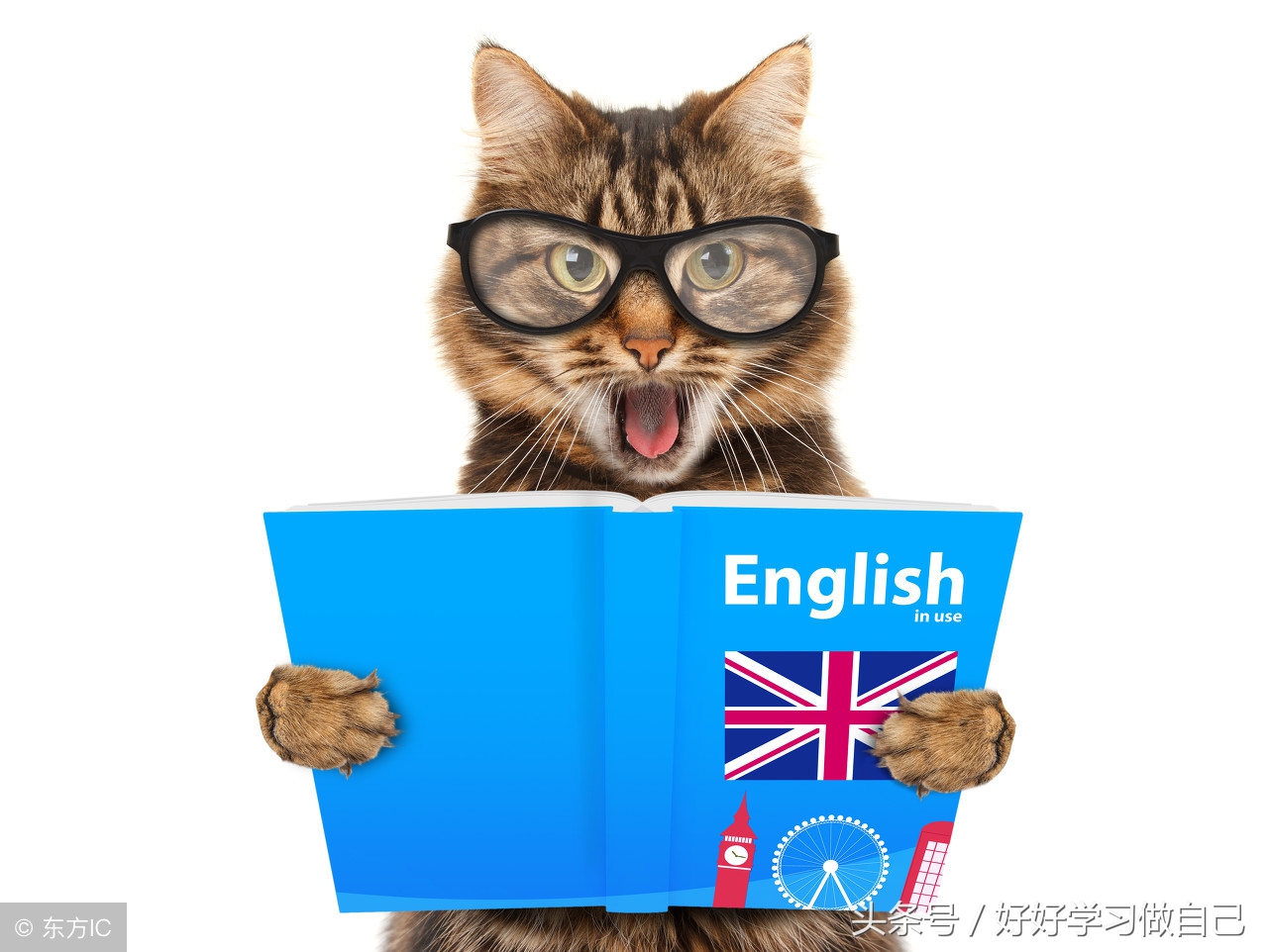 英语晨读每天必读7-9年级,晨读初中必背英语