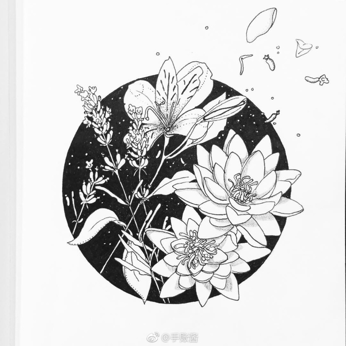 一组好看的插画风景图,清晰100张绝美插画