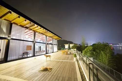 40岁大叔买下一座岛,大叔为钓鱼买下一座岛