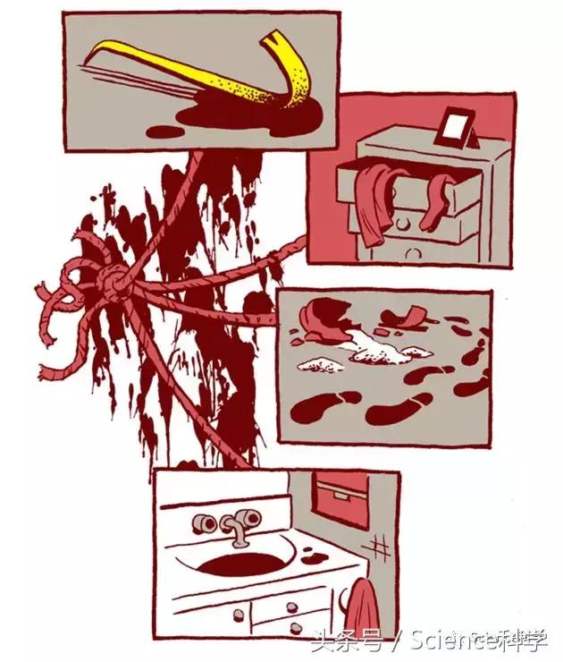 听犯罪学家讲述命案现场调查：小小血迹透露大量信息