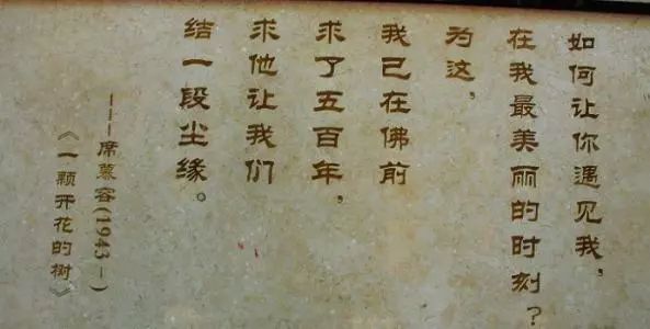 魔都超美的网红打卡圣地安福路,上海网红打卡地必去的路