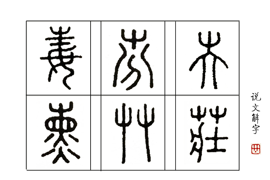 又双叒叕屮艸芔茻读音,你知道学字的真正含义吗