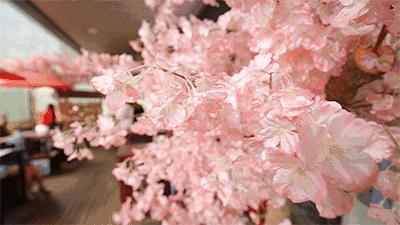 开一家火一家的店铺,开一家火一家的餐饮