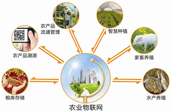 农业物联网的系统,智能农业物联网系统建设