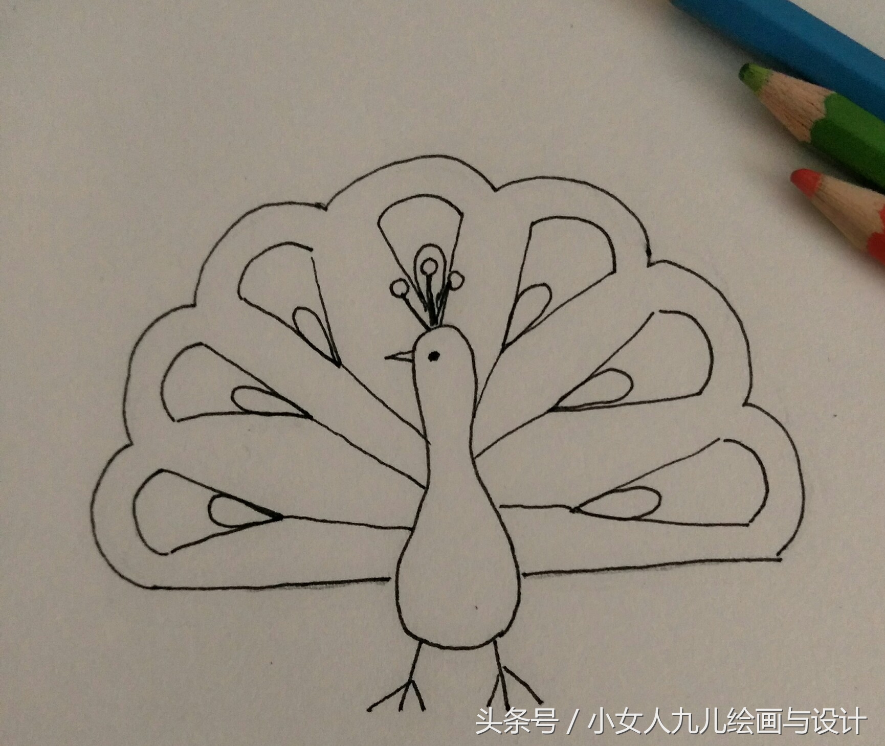 如何用手画孔雀简笔画,简笔画孔雀十二种画法