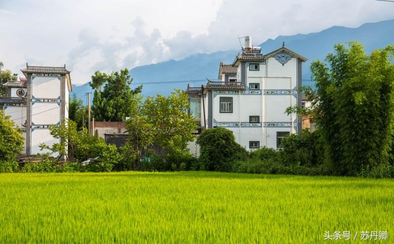 洱海治理周边民宿污染,洱海治污计划腾退部分客栈