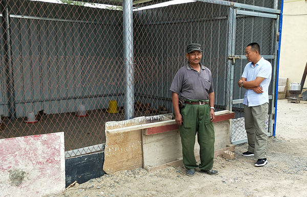 小鸡苗住上了新房子努尔大哥笑开颜