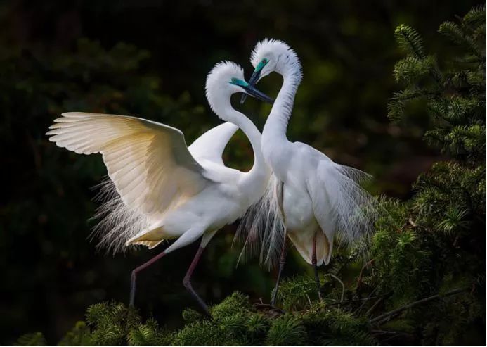 美到极致的自然风光摄影师大赛,自然之美第7集