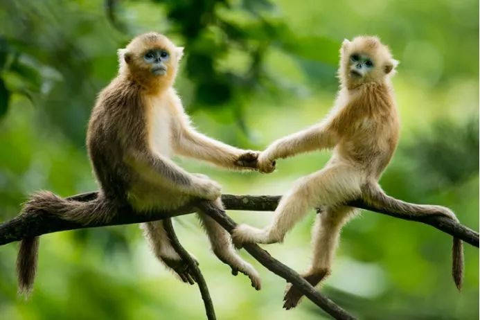 《自然之美》,自然之美摄影大赛