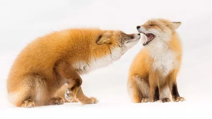 美到极致的自然风光摄影师大赛,自然之美第7集