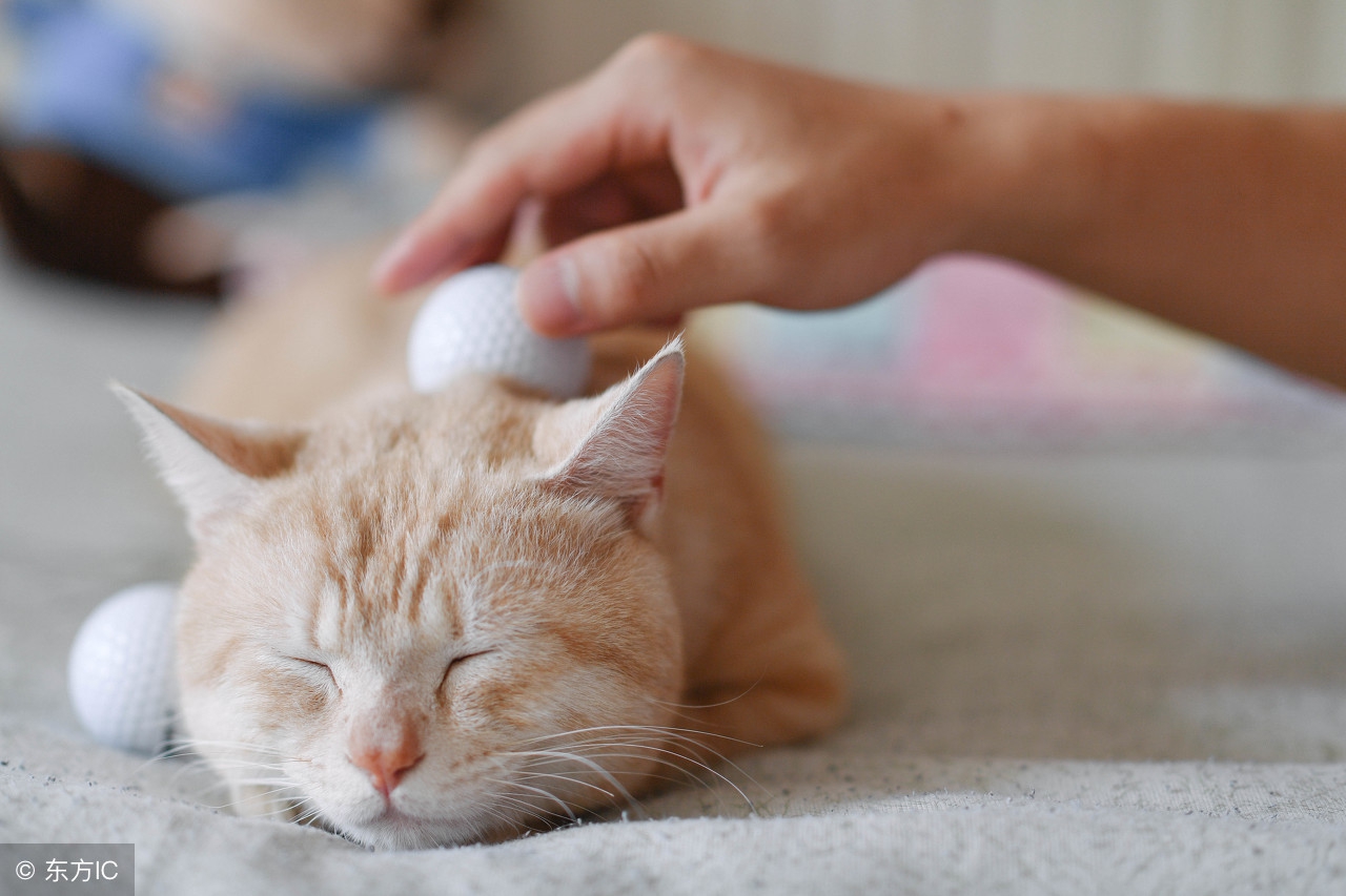 职场销售技巧与方法,职场上新人如何应对自如