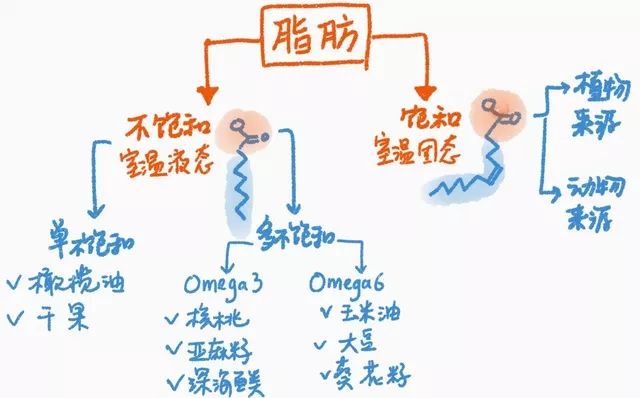 特级初榨橄榄油怎么生吃好吃一点,橄榄油益处