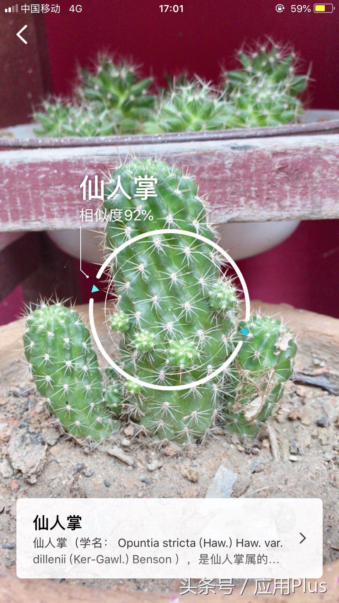 qq扫一扫都有什么秘密,qq扫一扫有神奇功能