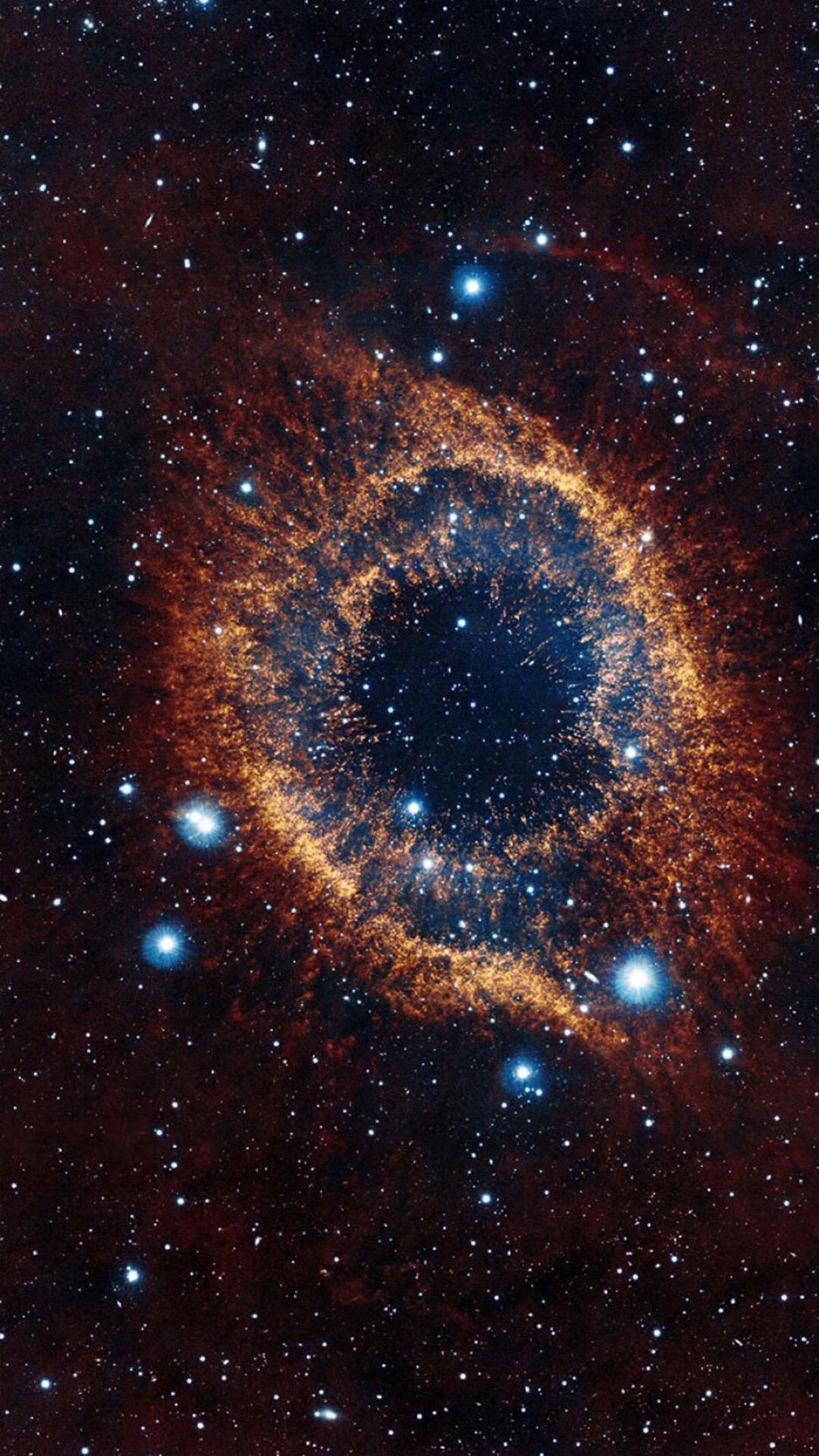 值得看的十部科幻电影推荐,十部顶级异种科幻电影