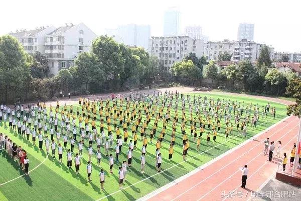 合肥市琥珀中学东区,合肥望龙学校琥珀中学