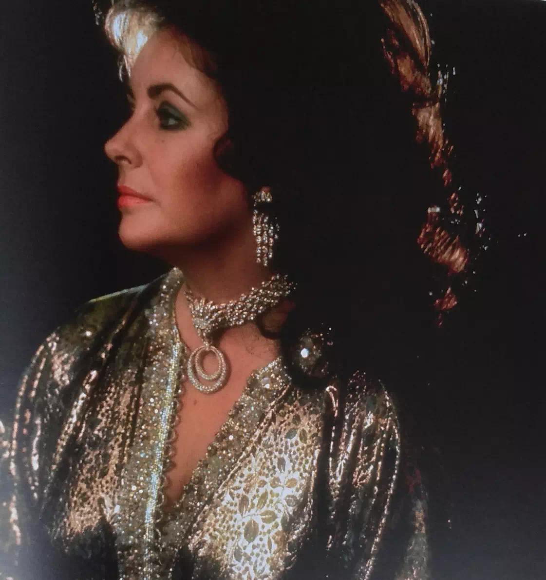 梵克雅宝黑色的四叶草是什么宝石,梵克雅宝四叶草是珠宝吗