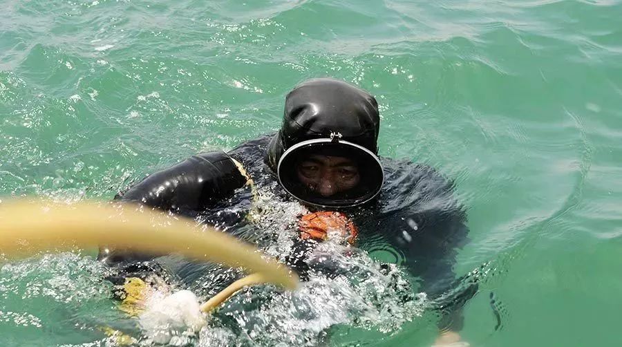 想要有滋补作用的海参要掌握三点,滋补身体用哪种海参比较好